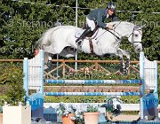 PALMIZI Corrada J GioCav2013 S6 7641 : Campionati Italiani Giovani Cavalli, Cattolica, Corrada J, PALMIZI Gianluca, ph Stefano Secchi ©